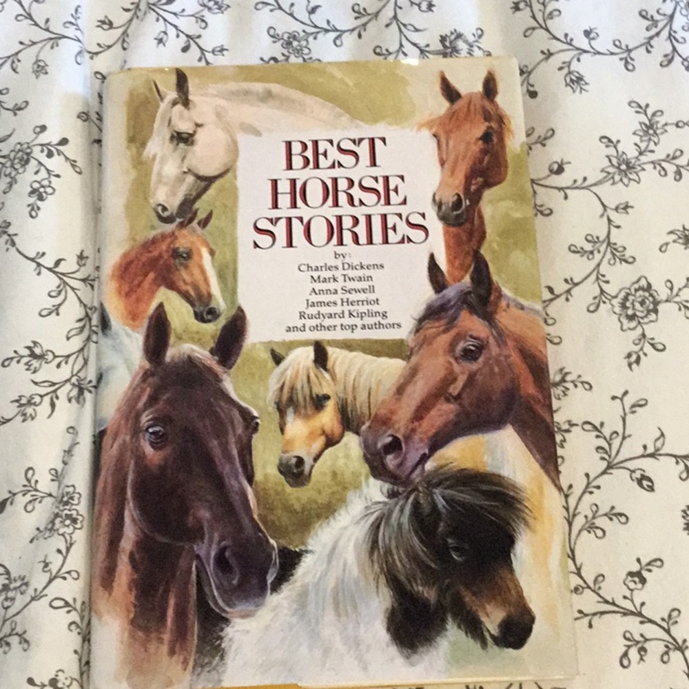 Best Horse Stories Hardcover